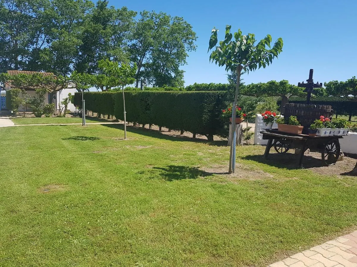 Guest house Le Mas De Mon Pere Saintes-Maries-de-la-Mer